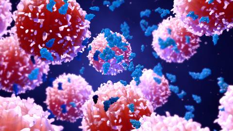L’identification de cette protéine et de son rôle clé dans le cancer de la prostate ouvre l’horizon thérapeutique pour ce cancer qui touche un homme sur 8 avant l’âge de 75 ans (Visuel Adobe Stock 208548083). L’identification de cette protéine et de son rôle clé dans le cancer de la prostate ouvre l’horizon thérapeutique pour ce cancer qui touche un homme sur 8 avant l’âge de 75 ans (Visuel Adobe Stock 208548083).