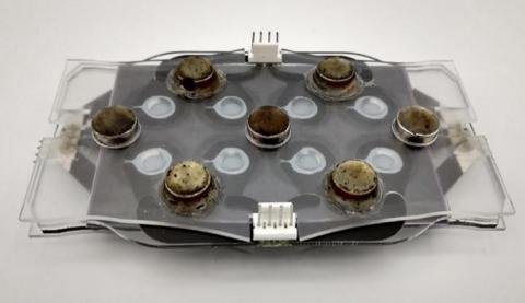 Ce nouvel « appareil » offre un moyen très rapide de détecter les bactéries résistantes aux antibiotiques (Visuel Seokheun "Sean" Choi) Ce nouvel « appareil » offre un moyen très rapide de détecter les bactéries résistantes aux antibiotiques (Visuel Seokheun "Sean" Choi)
