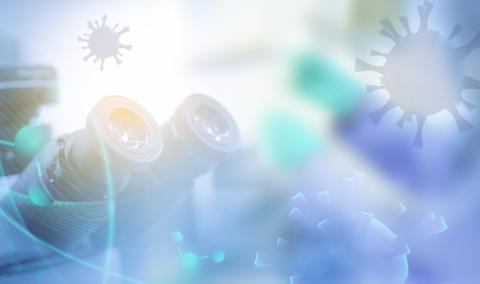 L'absorption médiée par les thiols -des molécules organiques similaires aux alcools où l'oxygène est remplacé par un atome de soufre- est un des mécanismes d'entrée utilisé par certains virus (Visuel Adobe Stock 324732931) L'absorption médiée par les thiols -des molécules organiques similaires aux alcools où l'oxygène est remplacé par un atome de soufre- est un des mécanismes d'entrée utilisé par certains virus (Visuel Adobe Stock 324732931)