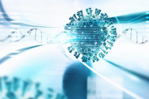 Coronavirus plus inoffensifs et SARS, la différence tient peut-être à une protéine (Visuel adobe stock 330943474) Coronavirus plus inoffensifs et SARS, la différence tient peut-être à une protéine (Visuel adobe stock 330943474)
