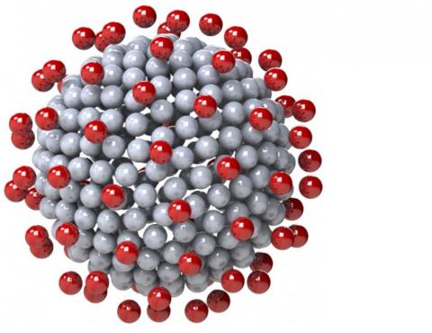 La forme des pointes du virus ou « protéines Spike » contribue à sa capacité d’infection (Visuel Physics of Fluids) La forme des pointes du virus ou « protéines Spike » contribue à sa capacité d’infection (Visuel Physics of Fluids)