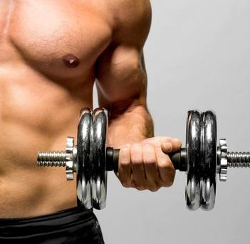 Muscle ou cerveau, faut-il choisir ? (Visuel Fotolia 50601460) Muscle ou cerveau, faut-il choisir ? (Visuel Fotolia 50601460)