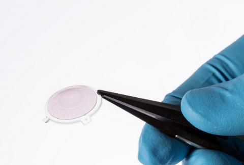 Cet implant rétinien pourrait permettre de restaurer la vision chez les mal-voyants (Visuel Alain Herzog / 2021 EPFL) Cet implant rétinien pourrait permettre de restaurer la vision chez les mal-voyants (Visuel Alain Herzog / 2021 EPFL)