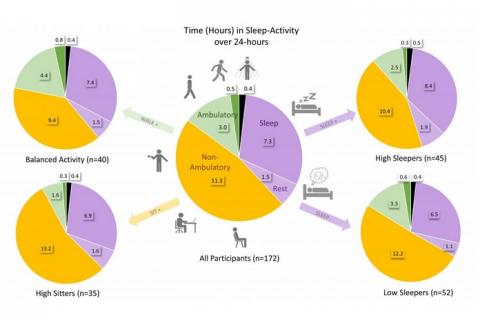 4 modèles de comportement très présents chez ces patients atteints de polyarthrite rhumatoïde, de lupus et d'arthrose du genou (Visuel Lynne Feehan).