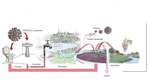 Visuel Nature Sustainability