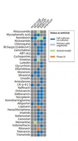 31 antiviraux déjà connus apparaissent comme des candidats possibles 