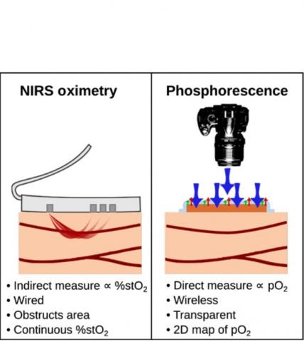 Visuel Science Advances