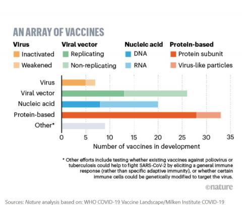 4 approches majeures de développement de vaccins anti-COVID-19 sont poursuivies (Schéma Nature) 4 approches majeures de développement de vaccins anti-COVID-19 sont poursuivies (Schéma Nature)