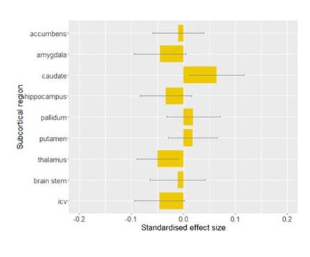 Effets de la dépression sur les différentes zones du cerveau