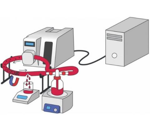 L'efficacité est testée sur des échantillons de plasma sanguin humain et ce modèle de vaisseau sanguin endommagé