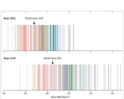 En 2016, 7,8% des garçons sont atteints d'obésité