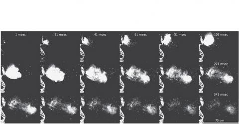 La projection et la diffusion de ces gouttelettes dans l’air dure jusqu'à 150 ms avant « de se transformer en un halo évoluant librement »