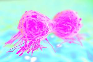 Cette hormone "productrice" de lait pendant la grossesse, la prolactine agirait également comme un contributeur majeur de cancer du sein (Visuel Adobe Stock 58155912). 
